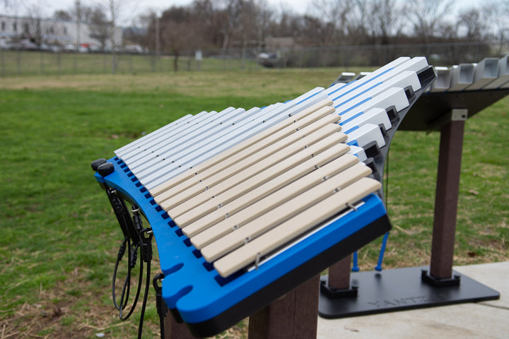 duet instrument in a park