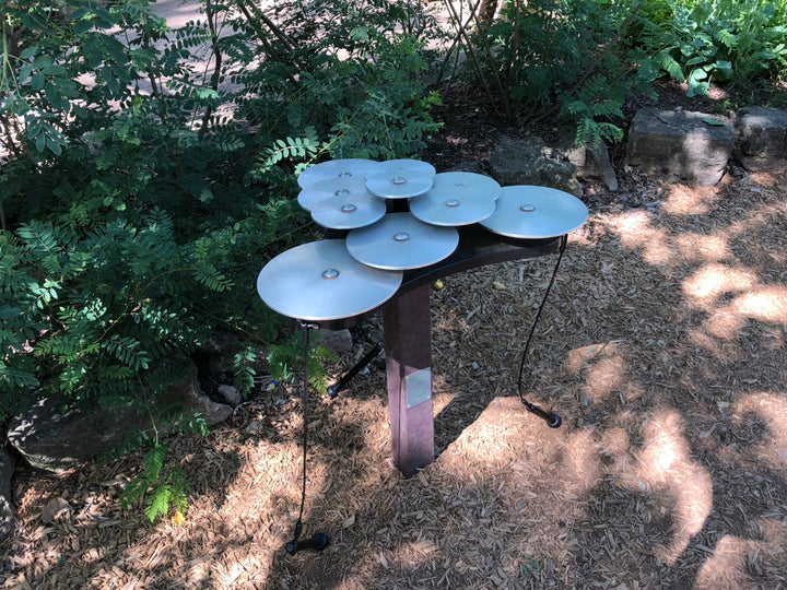 Lily pad instrument in the forest