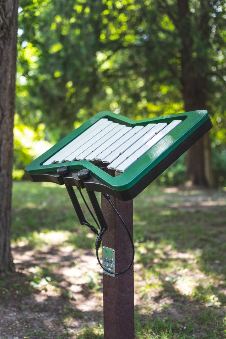 Melody instrument in a park